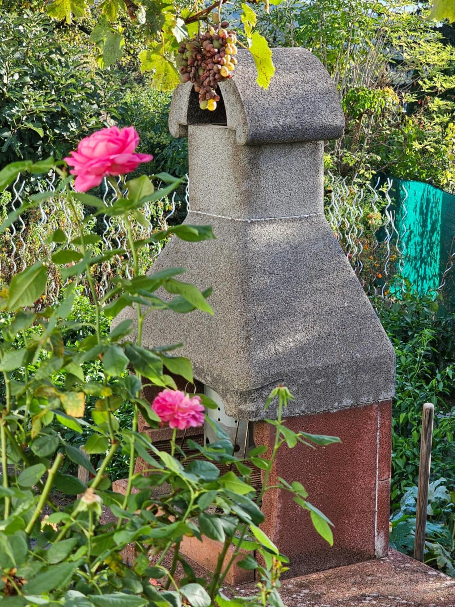 ウィーンErhol 'Dich Am Bergアパートメント エクステリア 写真